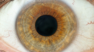 3025364-poster-p-eyeball